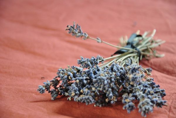 pb-lavender