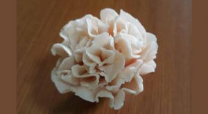Soap-Carnation