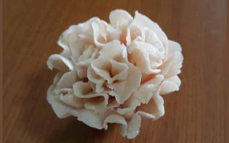 Soap-Carnation-Main